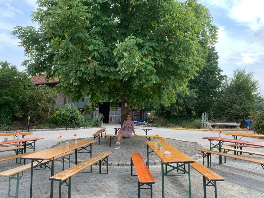 Reitschule Kronwitter Mainbernheim Ngoại thất bức ảnh